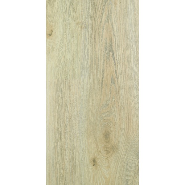 702 Aristote, SOLID PLUS, 12mm