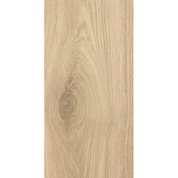 905 Chêne Tilbourg, CLIP 400, 8mm